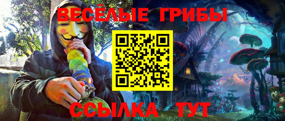 Псилоцибиновые грибы Magic Shrooms  Вход с VPN  Малгобек  Галлюциногенные грибы MAGIC MUSHROOMS 
