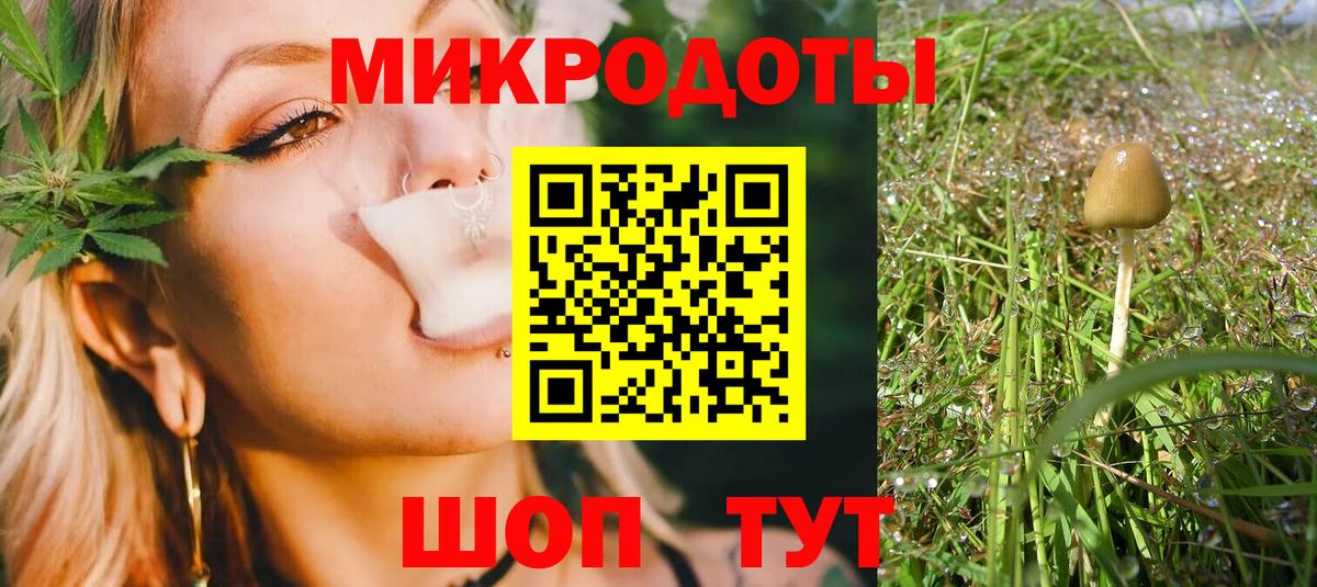 Галлюциногенные грибы мицелий Малгобек